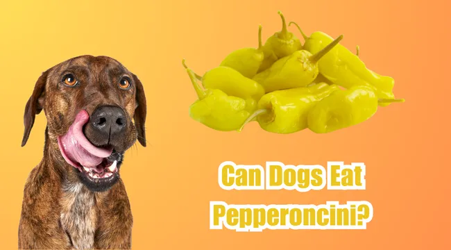 Pepperoncini