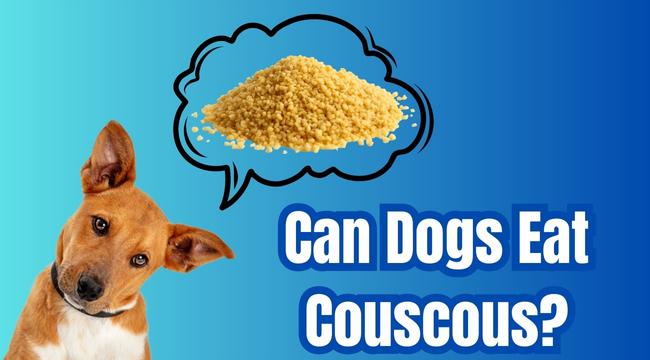 Couscous