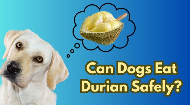 durian