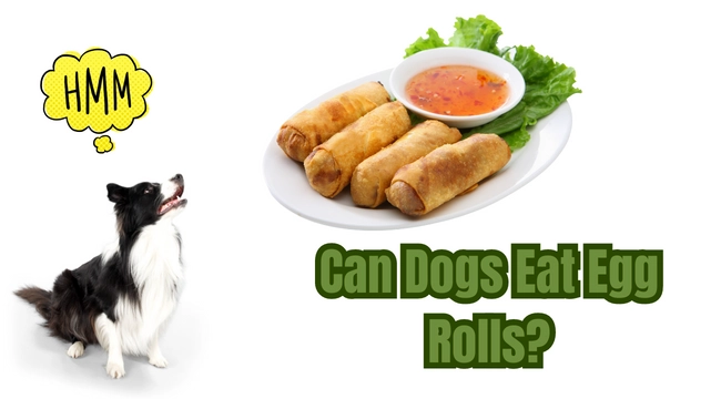 egg rolls