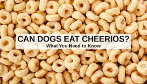 cheerios