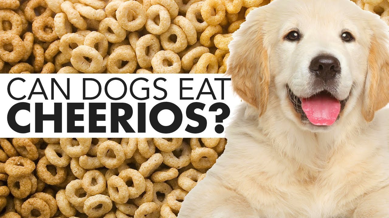 cheerios