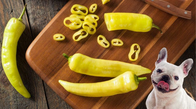 Can Dogs Eat Sweet Banana Peppers