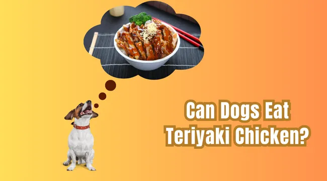 Can Dogs Eat Teriyaki Chicken