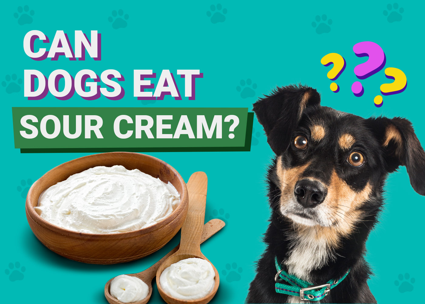 Can Dogs Eat Sour Cream