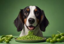 Can Dogs Eat Green Peas Safely