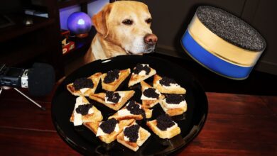 Can Dogs Eat Caviar