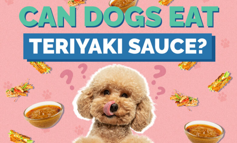 Can Dogs Eat Teriyaki Sauce?