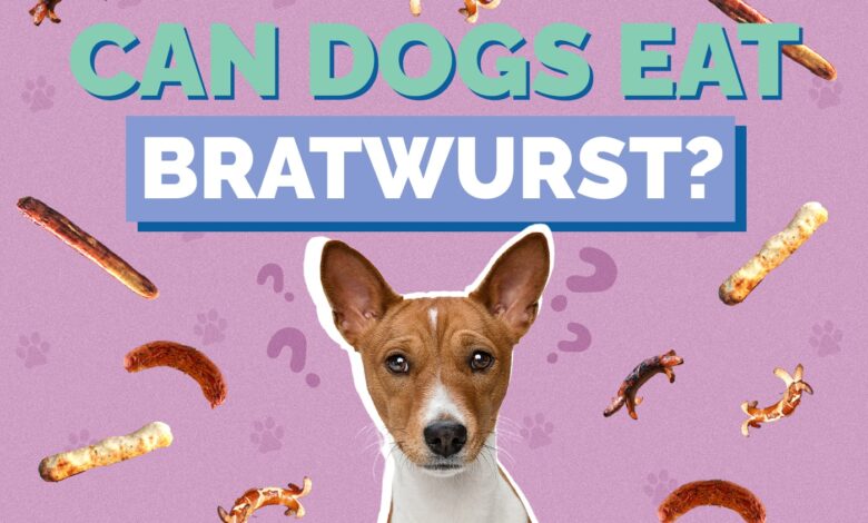 Can Dogs Eat Bratwurst?