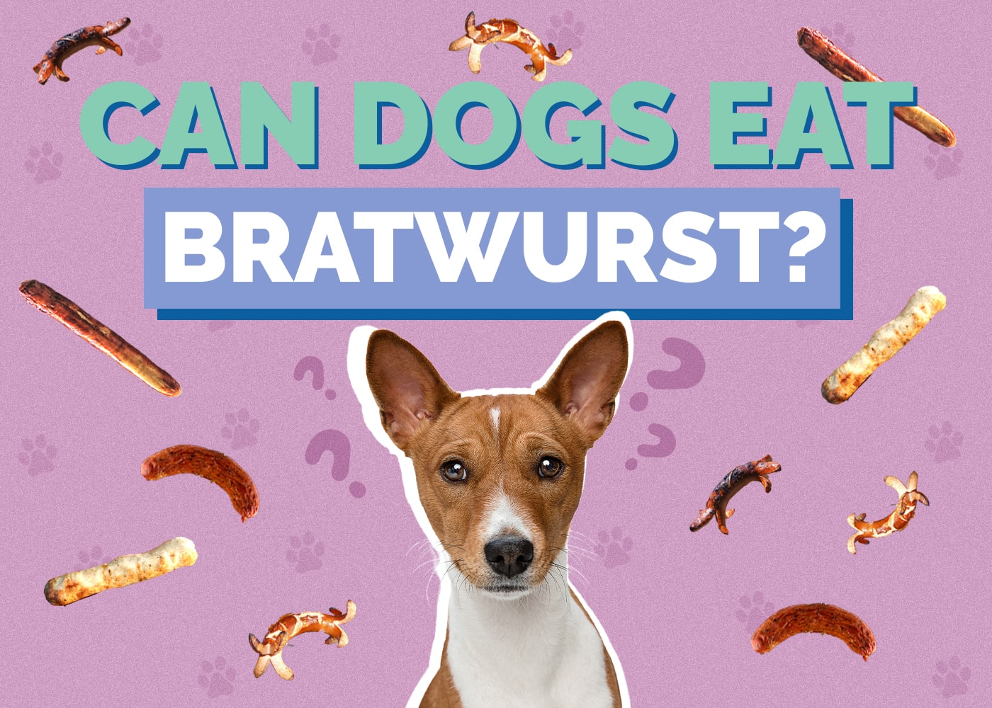 Can Dogs Eat Bratwurst?