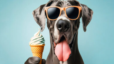 Can Dogs Eat Vegan Ice Cream?