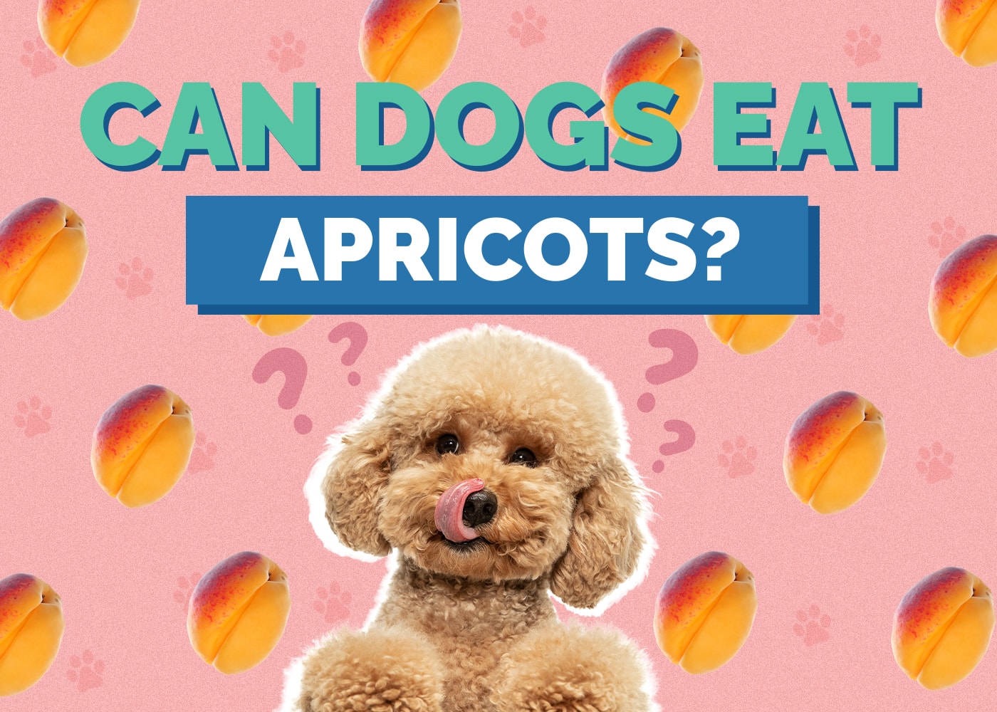 Can Dogs Eat Apricots?