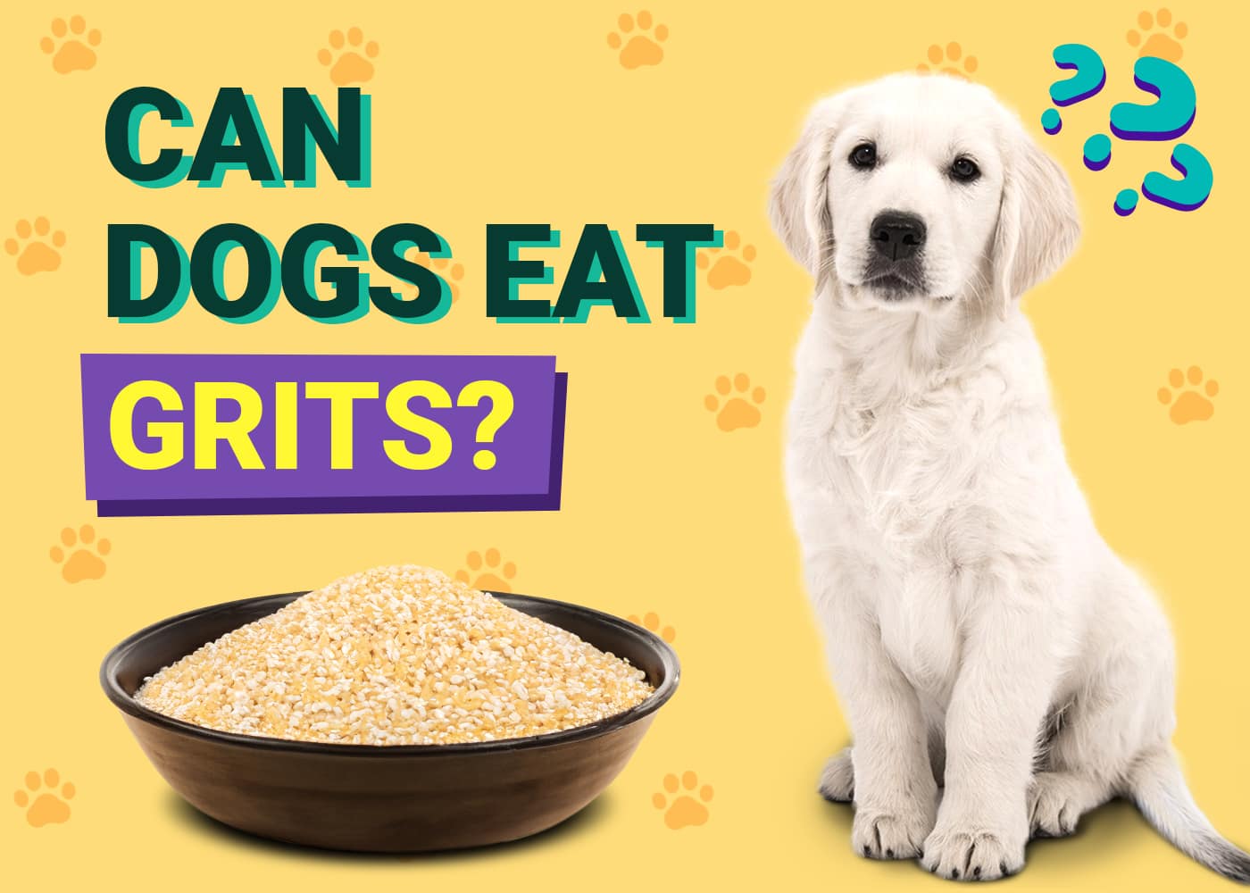 Can Dogs Eat Grits?