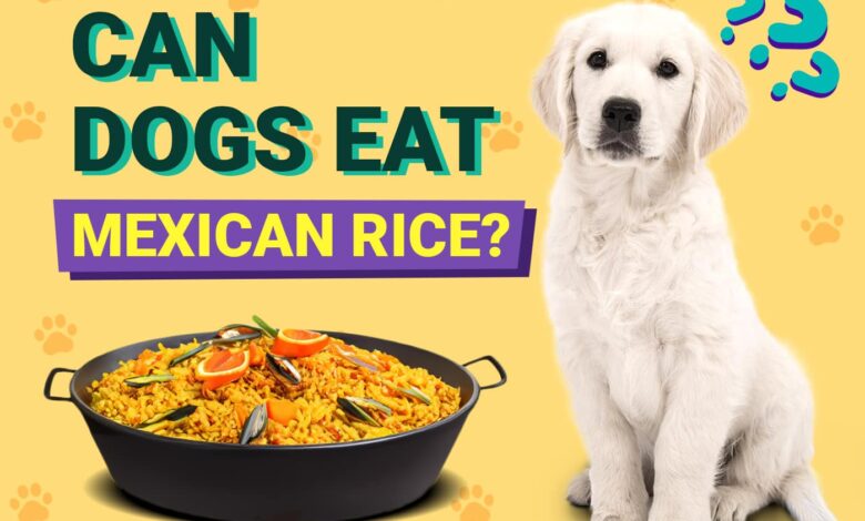 Can Dogs Eat Mexican Rice?