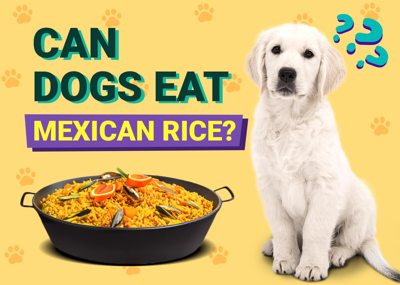 Can Dogs Eat Mexican Rice?