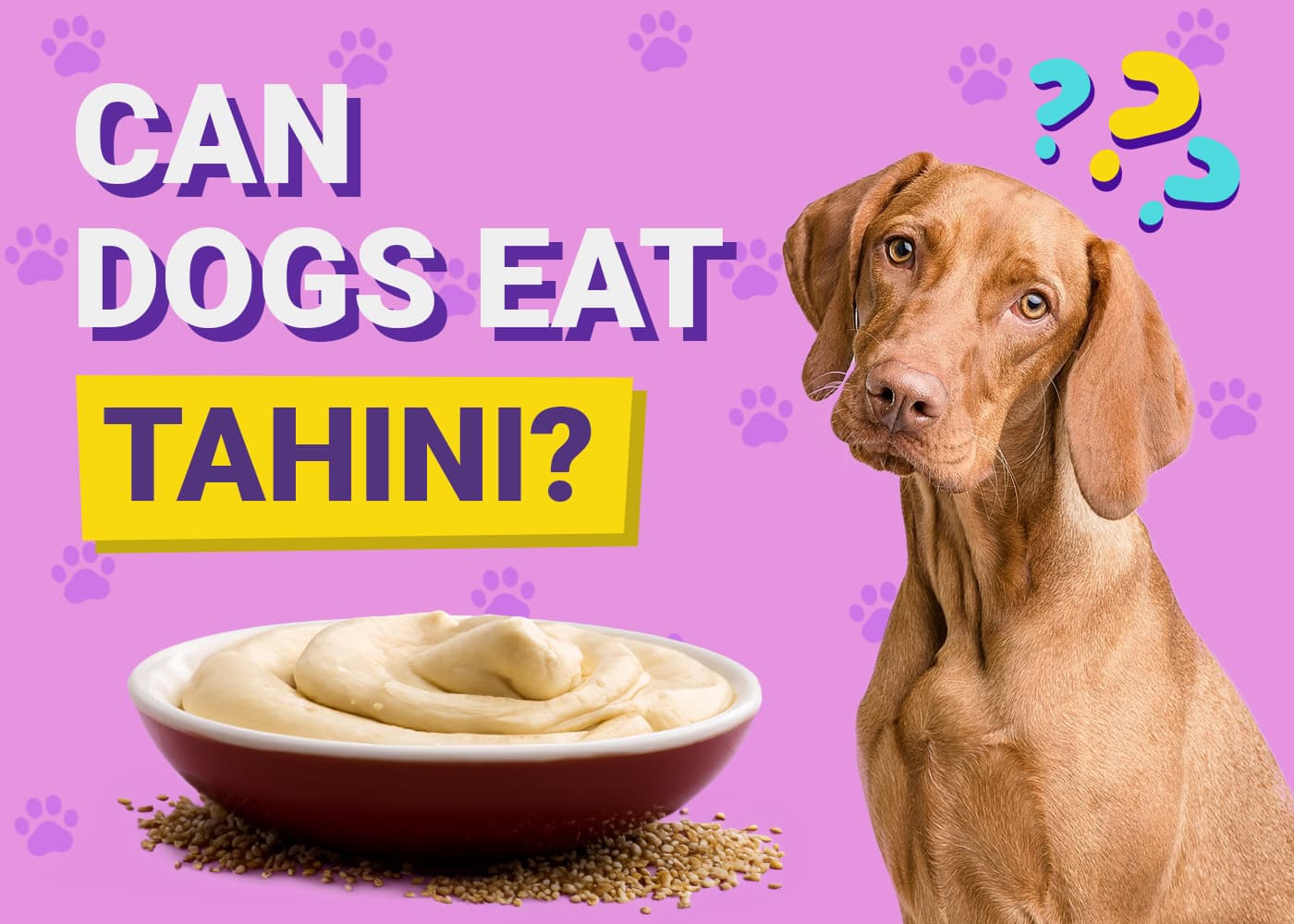 Can Dogs Eat Tahini?