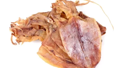 Can Dogs Eat Dried Squid?