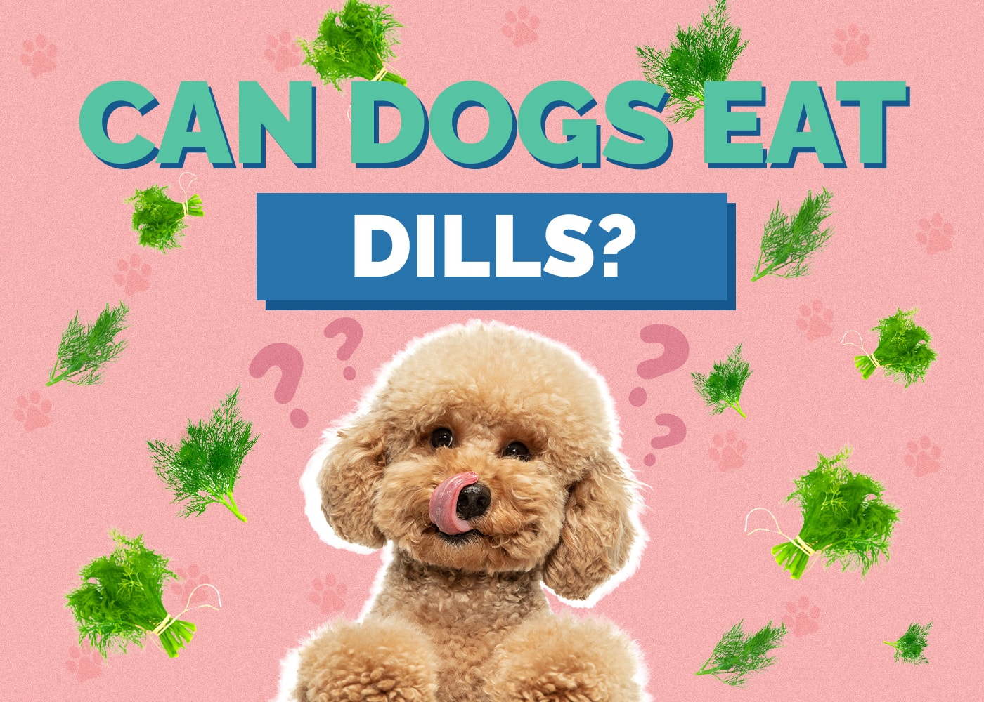 Can Dogs Eat Dill?