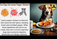 Can Dogs Eat Lemon Pepper Chicken?