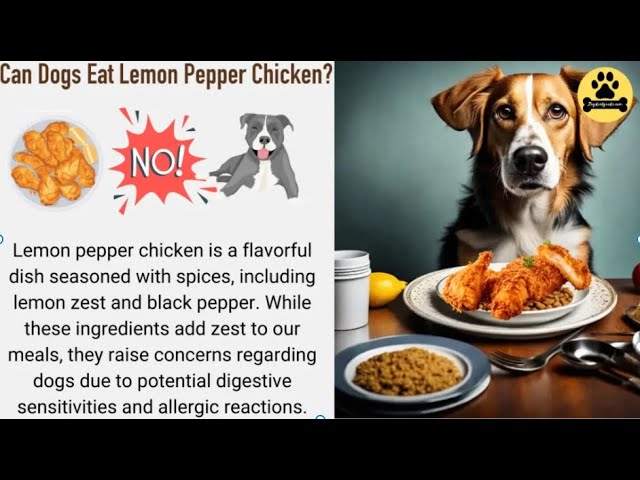 Can Dogs Eat Lemon Pepper Chicken?