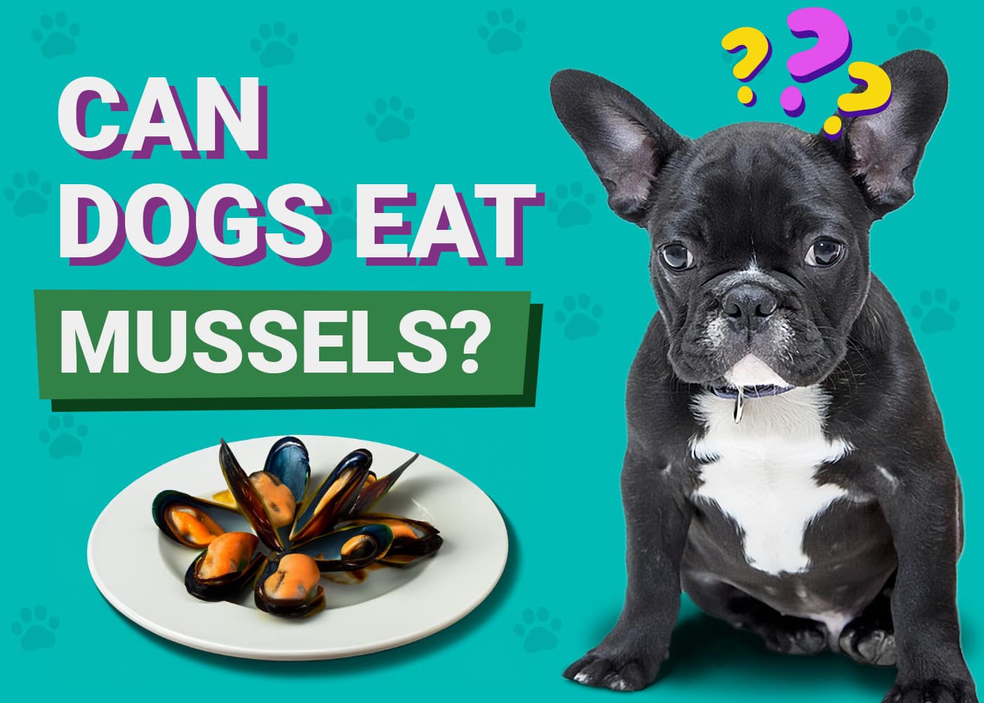 Can Dogs Eat Mussels?