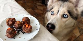 Can Dogs Eat Meatballs