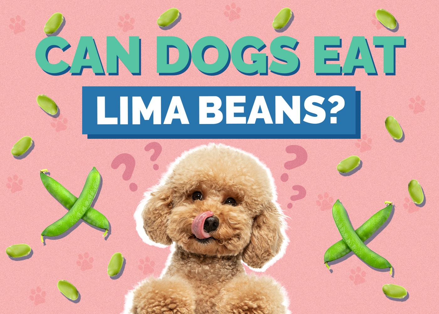 Can Dogs Eat Lima Beans?