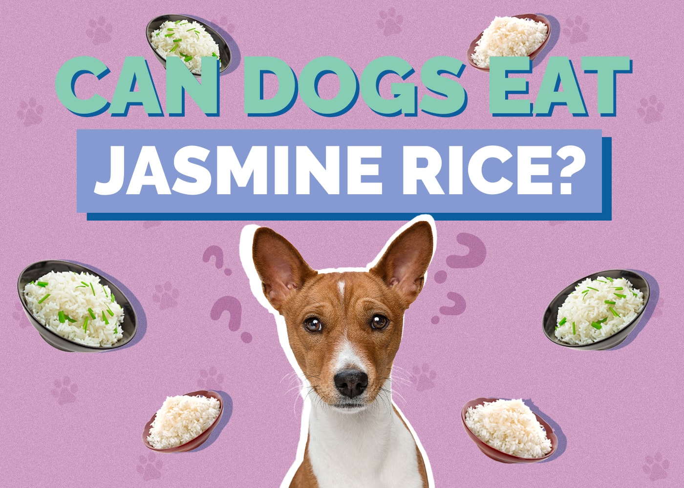 Is Jasmine Rice Good for Dogs